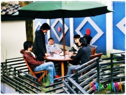 Carbonara's Profile Photo