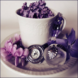 TheadoraDolc's Profile Photo