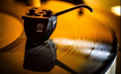 audiophile's Profile Photo