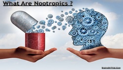 brainonpills's Profile Photo