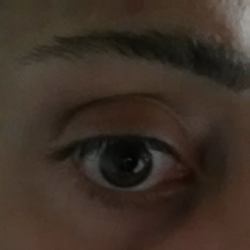 catanzarese's Profile Photo