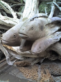 cmal's Profile Photo