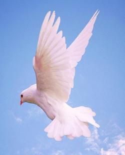 eyebeams2007's Profile Photo