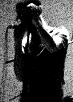 ilDuca's Profile Photo