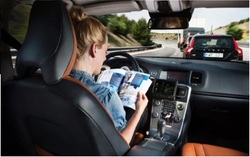 isopigdu1984's Profile Photo