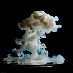 kafer1988's Profile Photo