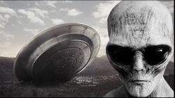 marciano's Profile Photo