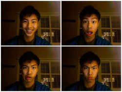 qinpanzee's Profile Photo