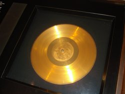 stvnmnx's Profile Photo