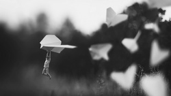 wandinho40's Profile Photo